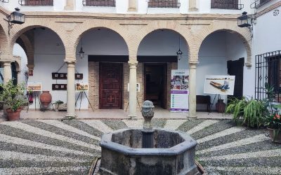 La plaza de la Concha